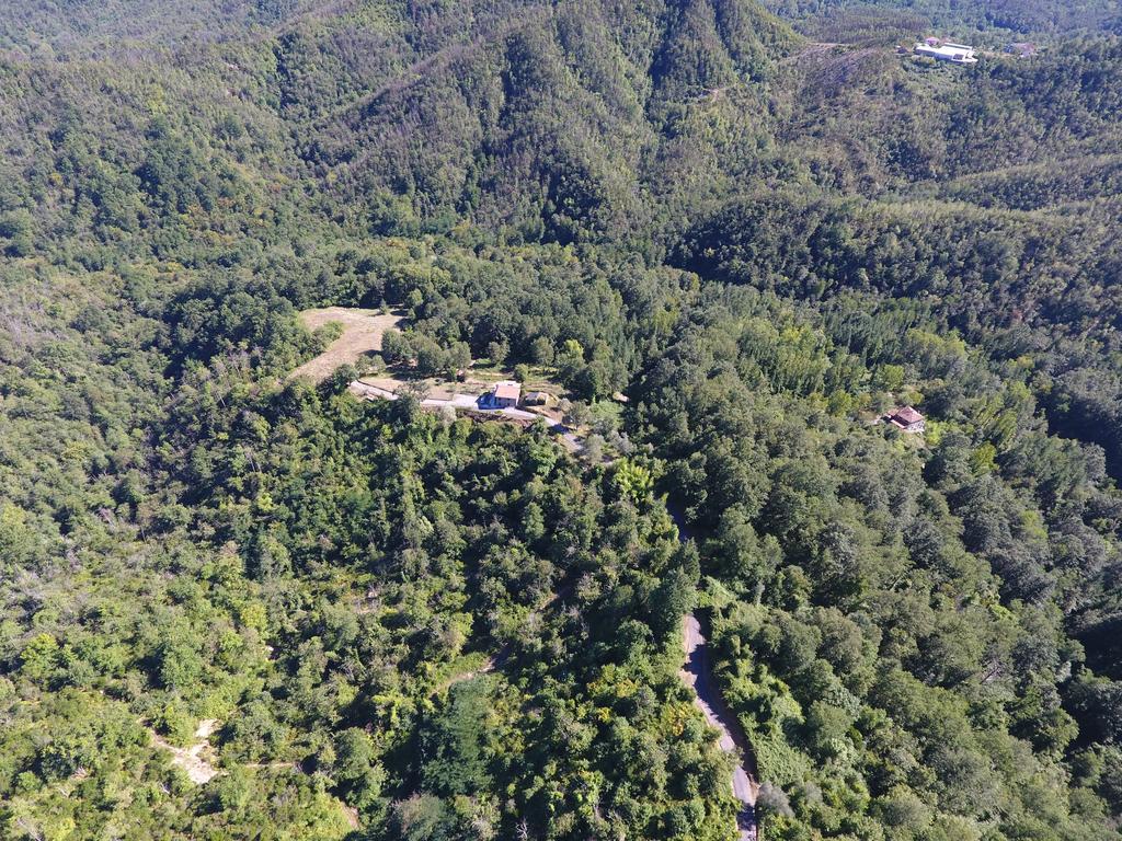 Agriturismo Angio Nel Cere Bracelli Exterior photo