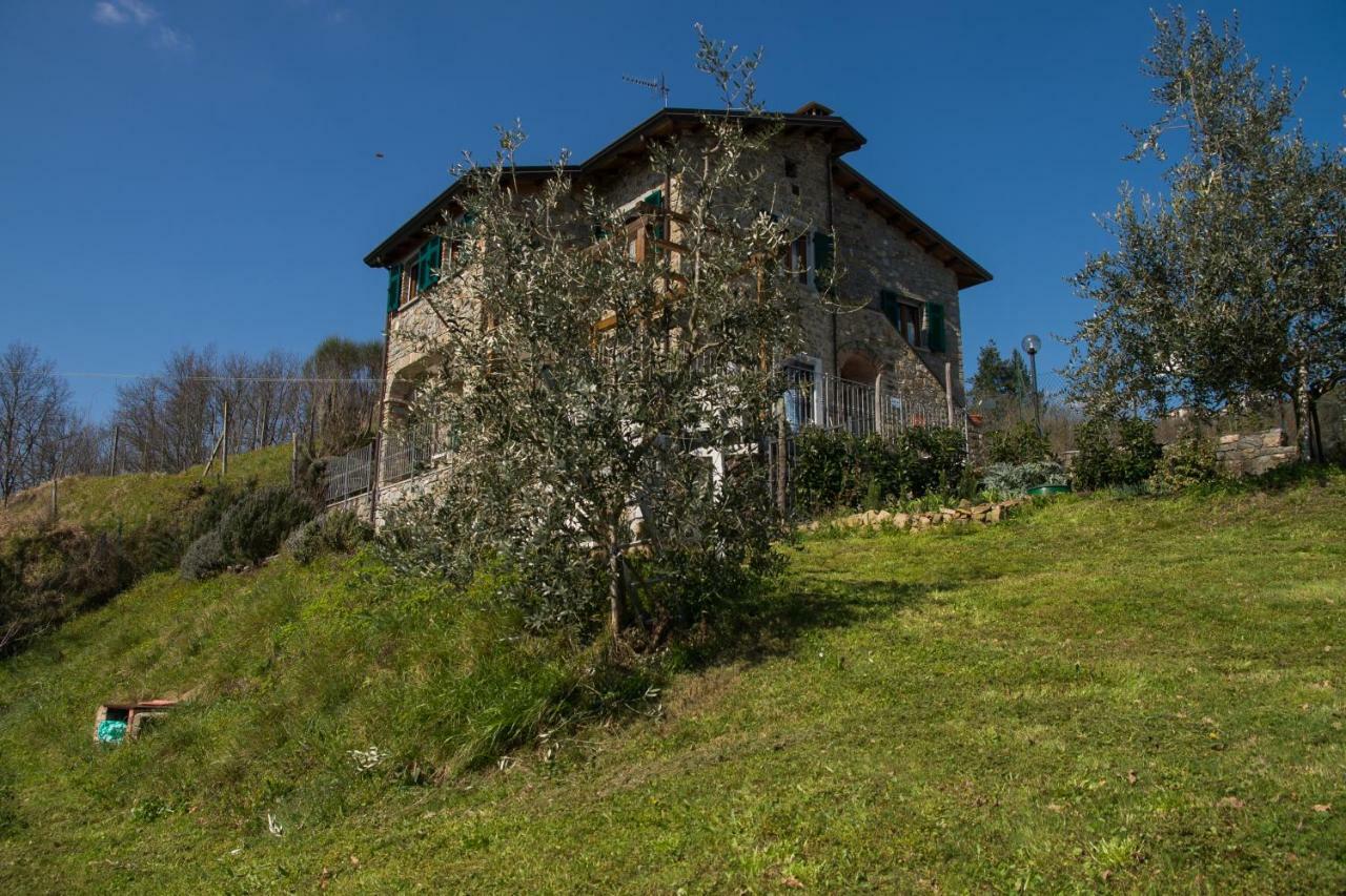 Agriturismo Angio Nel Cere Bracelli Exterior photo