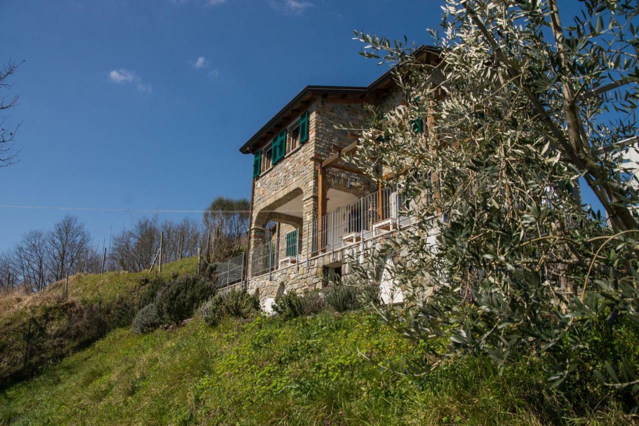 Agriturismo Angio Nel Cere Bracelli Exterior photo