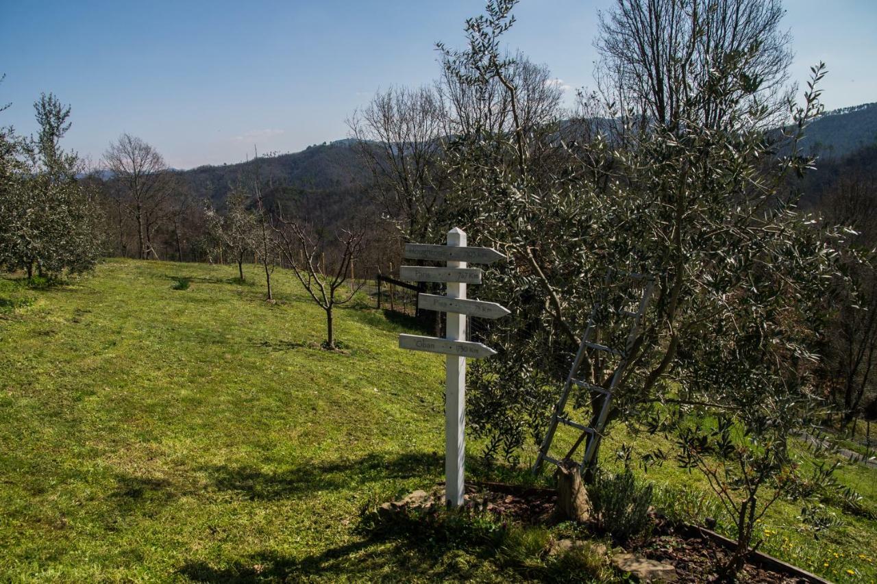 Agriturismo Angio Nel Cere Bracelli Exterior photo